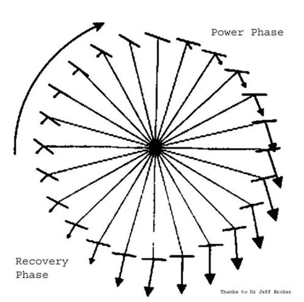 Diagram of the force applied to the pedal by crank angle